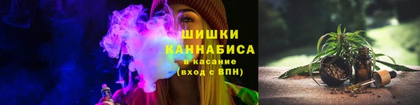 PSILOCYBIN Волосово