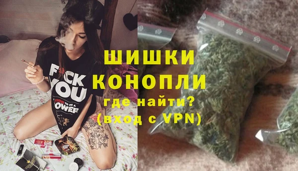 PSILOCYBIN Волосово