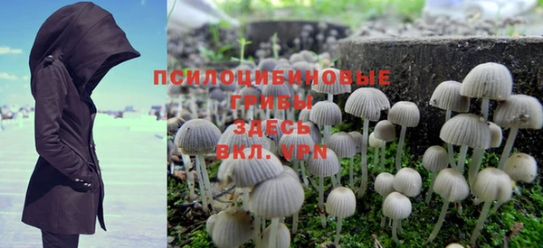 спиды Волоколамск