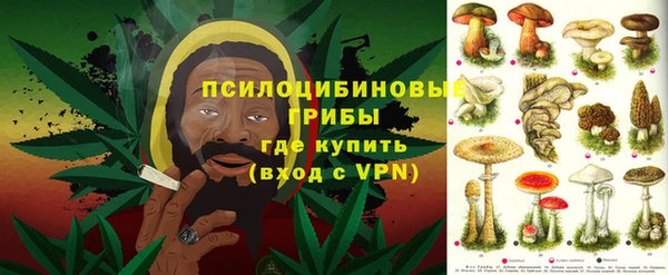спиды Волоколамск
