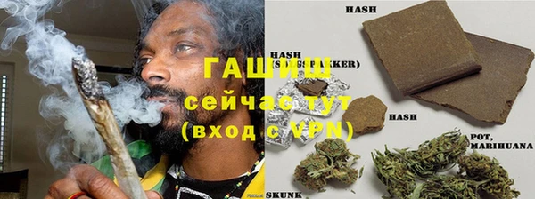 PSILOCYBIN Волосово