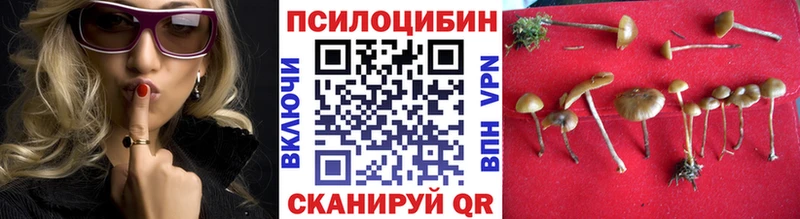 Галлюциногенные грибы MAGIC MUSHROOMS  KRAKEN онион  Полевской 